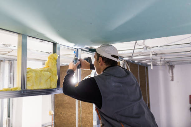 Best Garage Insulation Installation  in Arcadia, SC