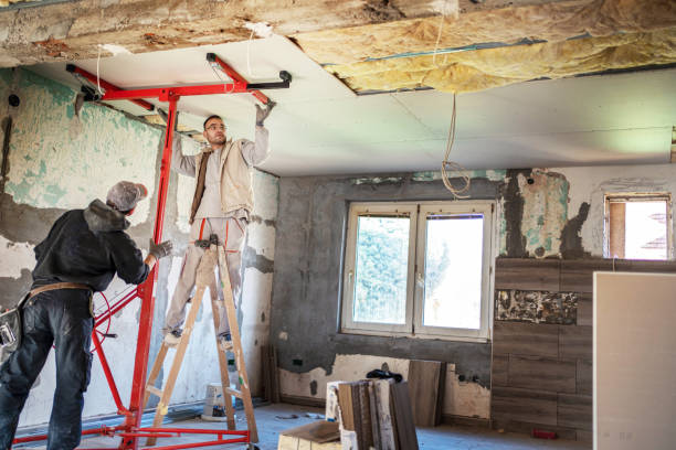 Best Residential Insulation Services  in Arcadia, SC