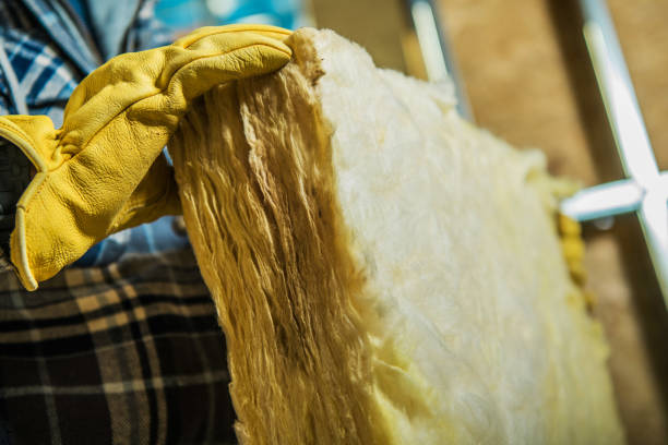Best Attic Insulation Near Me  in Arcadia, SC
