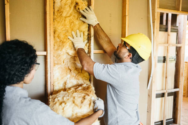 Best Crawl Space Insulation  in Arcadia, SC