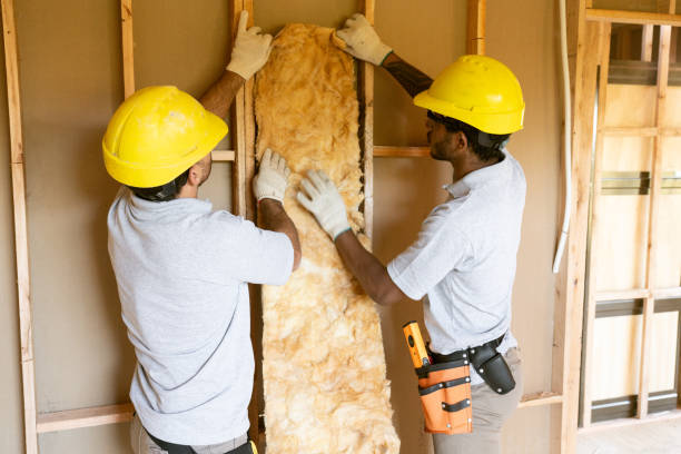 Best Spray Foam Insulation  in Arcadia, SC