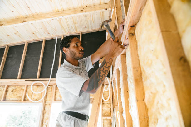 Best Attic Insulation Installation  in Arcadia, SC