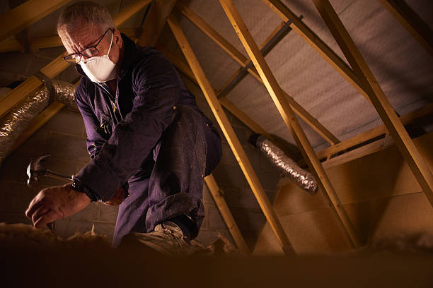 Best Attic Insulation Installation  in Arcadia, SC
